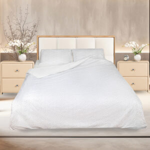 aster kor2 aster kor2