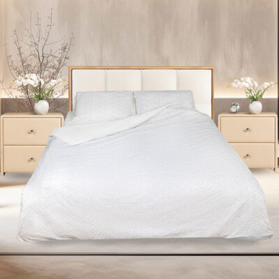 aster kor2 aster kor2