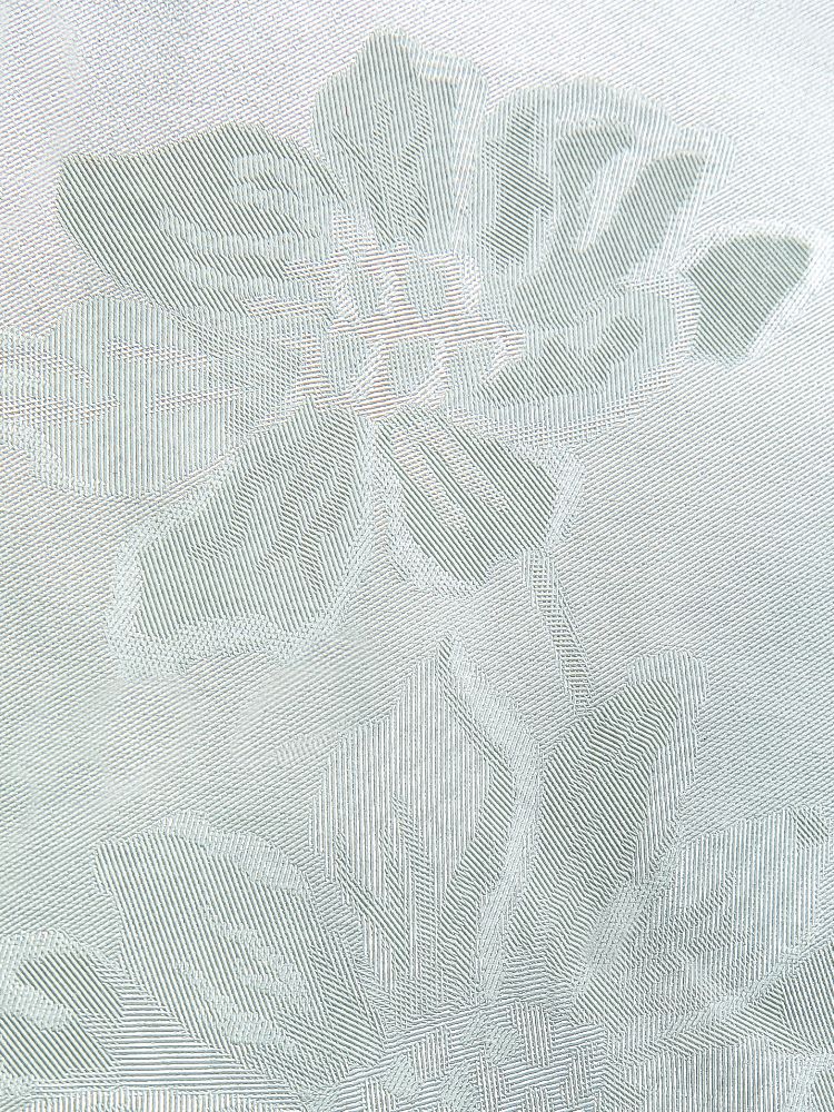 Fiandra zelen (4)